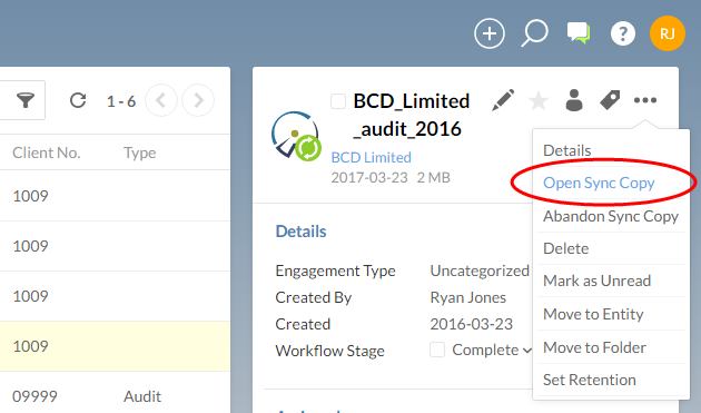 Select this command to open a sync copy of last year's engagement file.