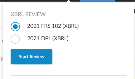 XBRL taxonomies in the XBRL Review section.