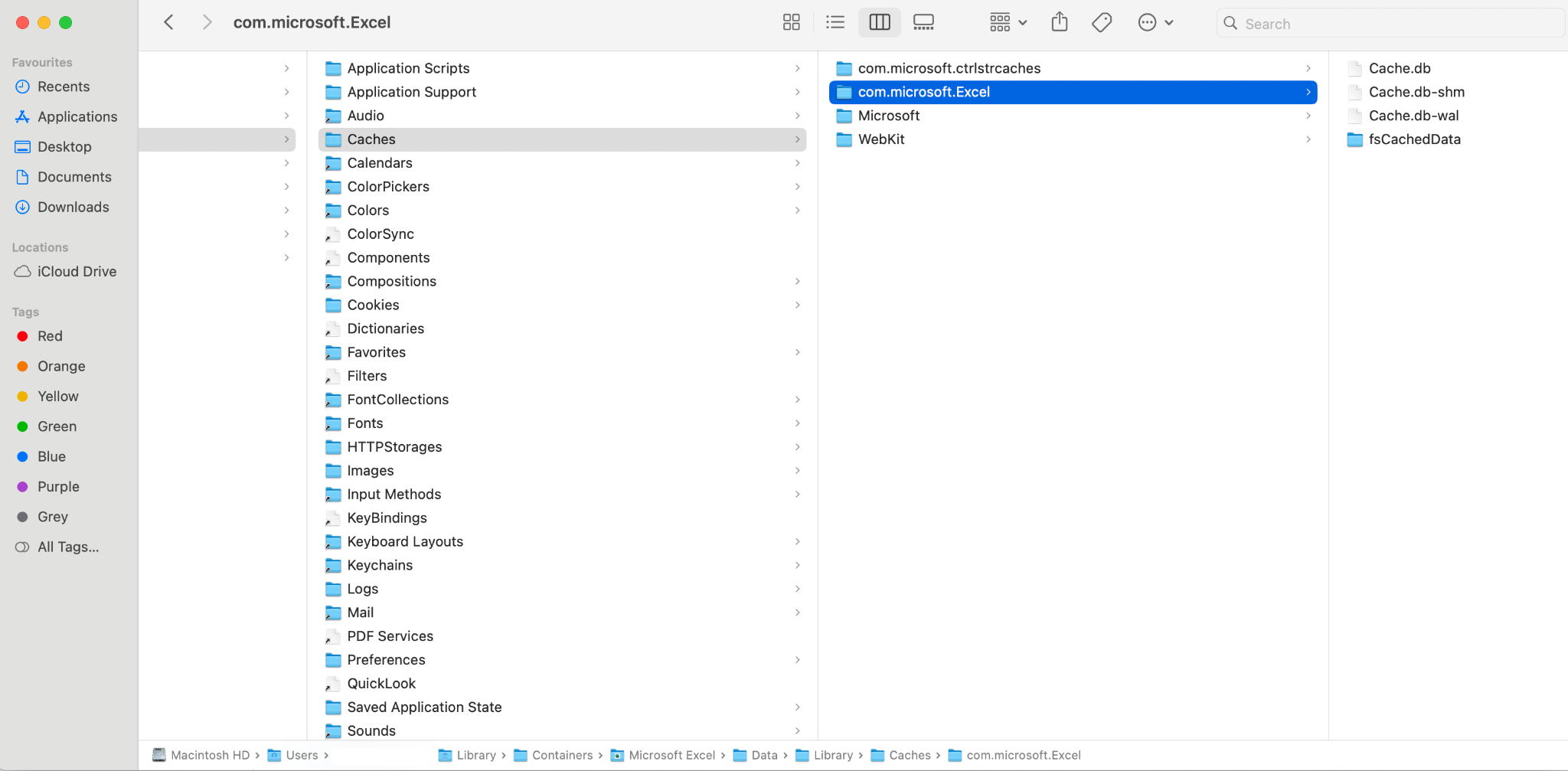 Location of Office Document cache on computers running Mac OS.