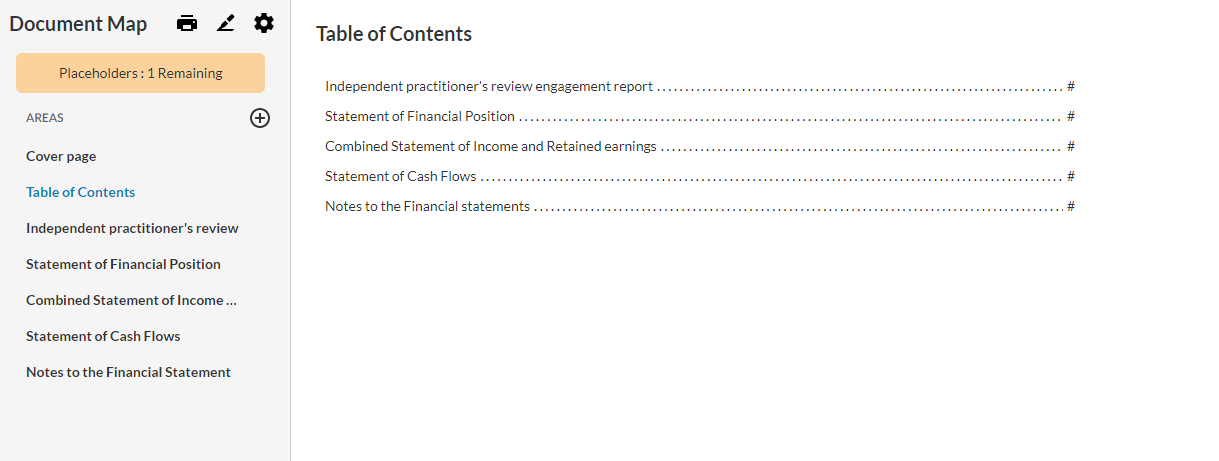 Placeholders indicator in Financial Statements