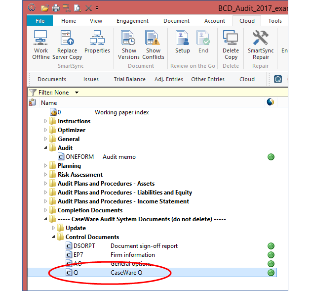 Double click on the CaseWare Q document to open it.