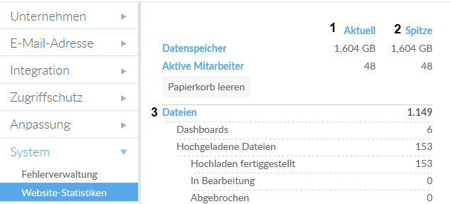 Website-Statistiken auf der Seite Einstellungen.