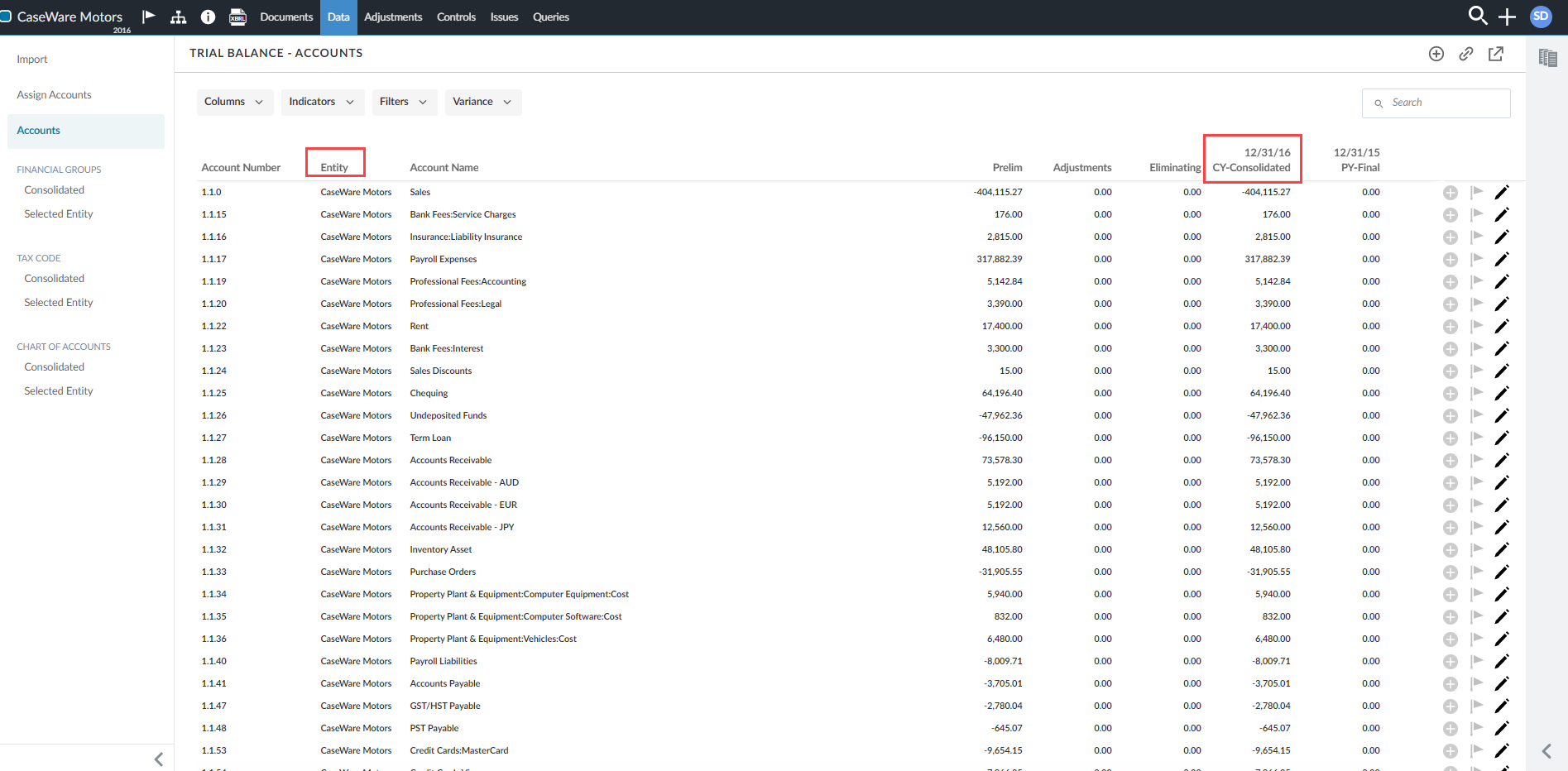 The Accounts tab for a consolidated engagement.