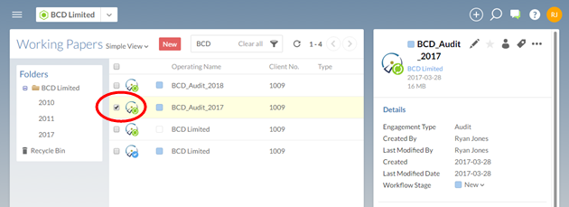 Select a Working Papers file. Der Detailbereich wird rechts angezeigt.