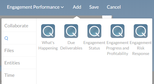 CaseWare Q - dashboard wdigets