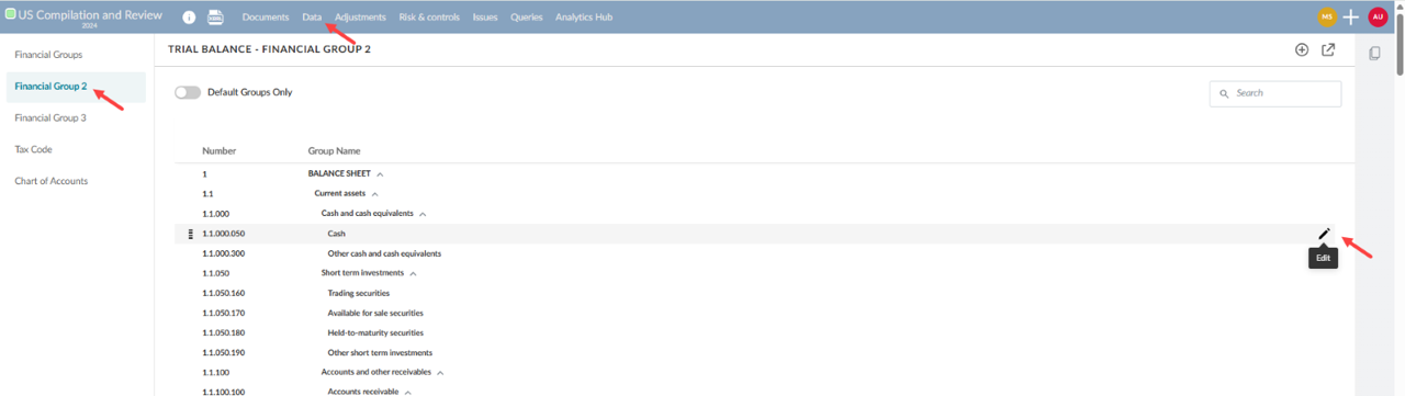 The user interface for selecting the group properties within a financial group within the trial balance.