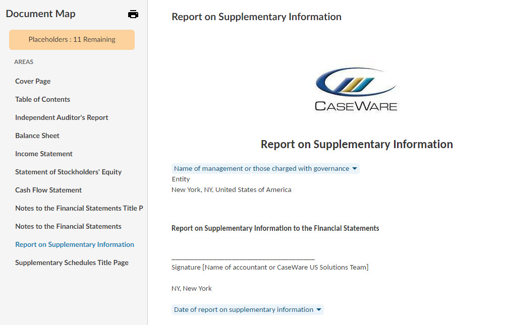 Report on Supplementary Information