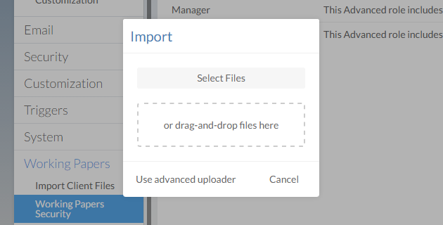 The import dialog for Working Papers security settings.