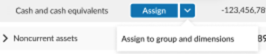 A user interface for managing funds, showing "Cash and Cash Equivalents" with an "Assign" dropdown menu above a text field labeled "Assign to Group and Dimensions."