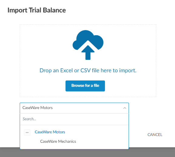 The Import Trial Balance dialog for a consolidation engagement.