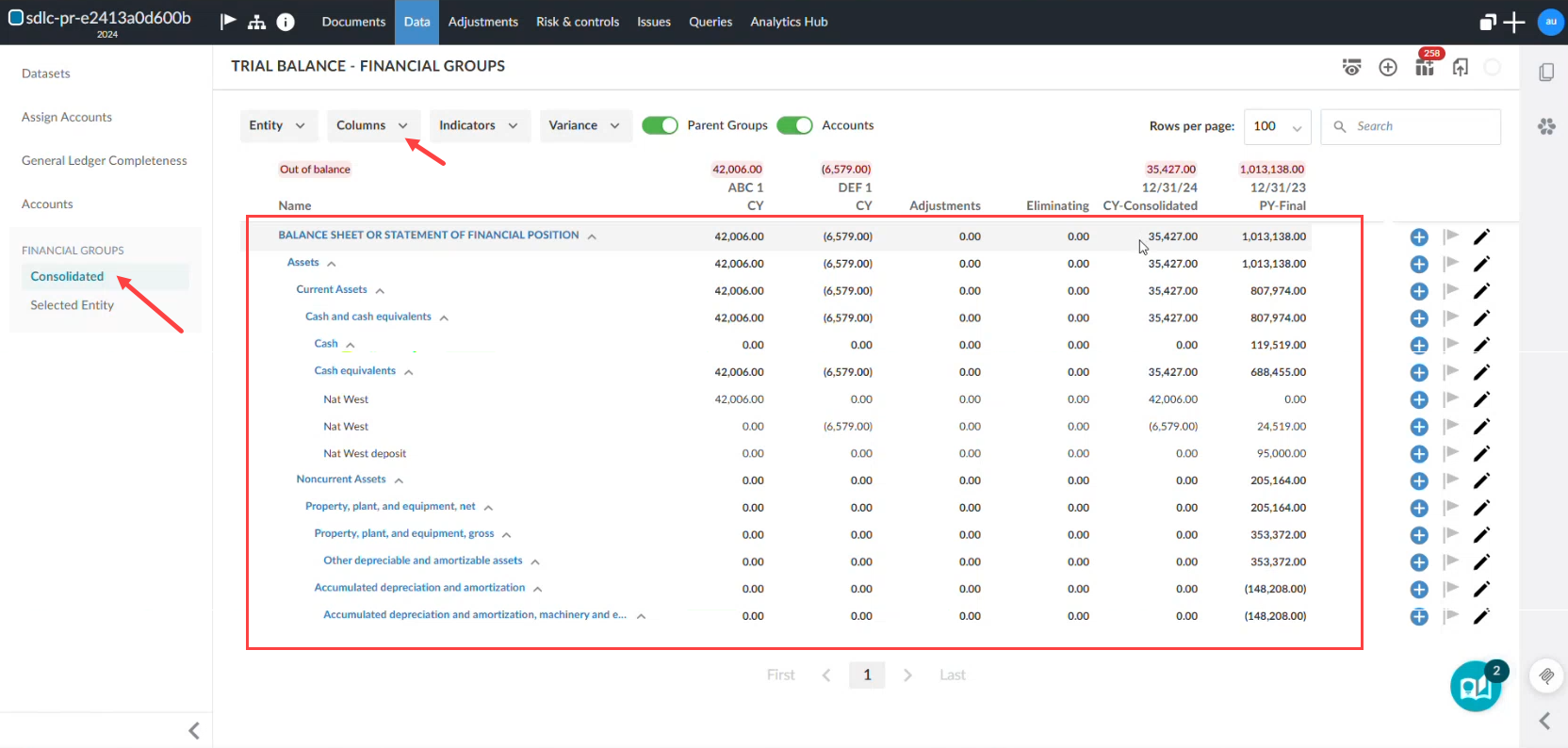 The user interface for the consolidated view of the financial statement sorted by columns.