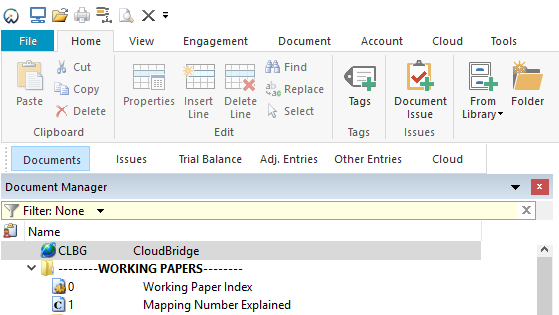 The CLBG document displayed in the Working Papers Document Manager.