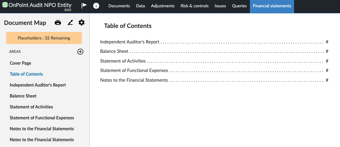 NPO Financial statements.