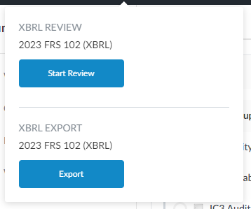 La fenêtre contextuelle XBRL.