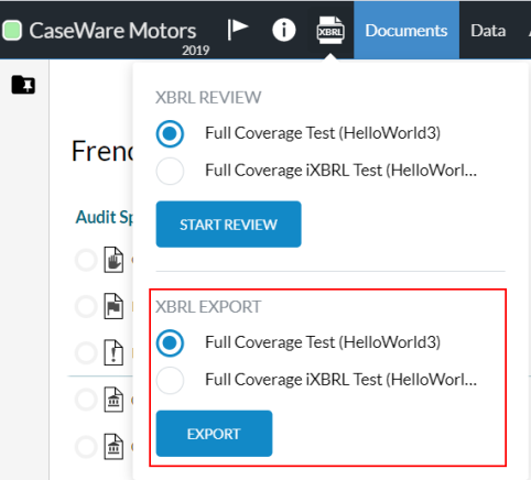 The XBRL EXPORT section in the XBRL dialog.