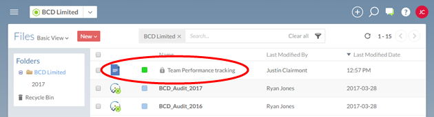 Your new file is created, and access to this file is limited. This is indicated by the gray lock icon next to the file name.