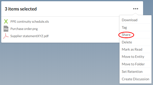 The Share option in the More Options menu.