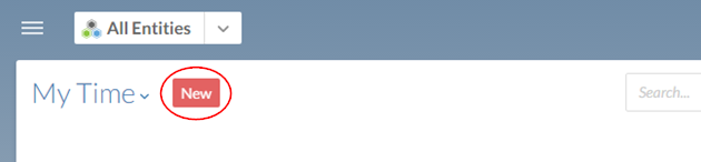 The New button creates a new time entry.