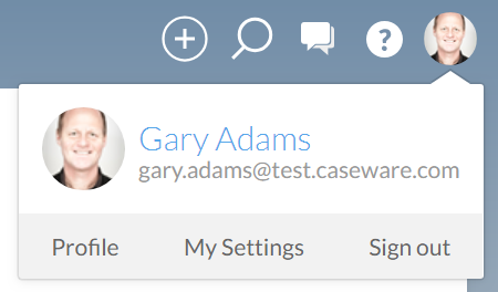 Het avatar-menu.